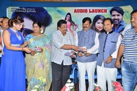 Danger Love Story Audio Launch